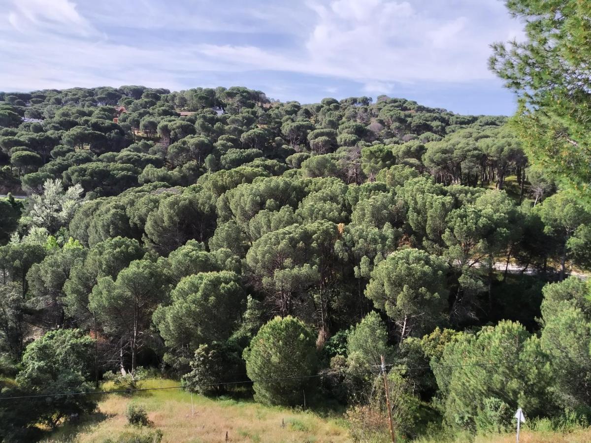 Apartament El Mirador De Bacha San Martín de Valdeiglesias Zewnętrze zdjęcie