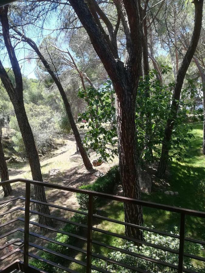 Apartament El Mirador De Bacha San Martín de Valdeiglesias Zewnętrze zdjęcie